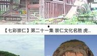 羊村最新爆料新闻视频播放,最新爆料新闻视频幕后真相大曝光