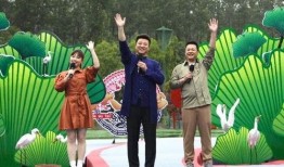 东莞王先生最新爆料视频,揭秘事件背后惊人真相！