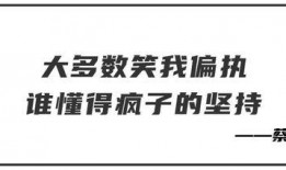 爆料娱乐的文案句子,明星幕后故事大曝光