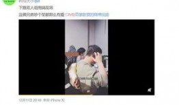 张细伦最新爆料视频在线观看,精彩内容抢先看！