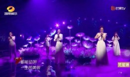 金婧最新爆料新闻视频播放,揭秘娱乐圈惊人内幕！