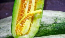 吃的千万网红的瓜,揭秘千万粉丝背后的美食秘密