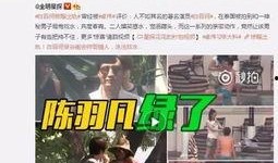 卖惨夫妻爆料视频大全下载,真实与虚假的交织