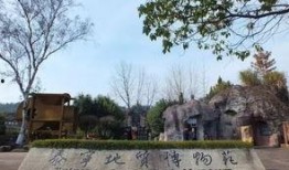 新春园林最新爆料,匠心独运，打造梦幻园林盛宴