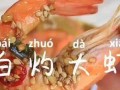 美食爆料热点视频大全最新,热门视频大盘点，舌尖上的美味盛宴