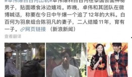 卓伟爆料成毅女友视频是真的吗,卓伟爆料成毅女友视频真实性探讨