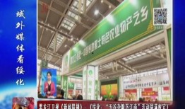 黑龙江卫视爆料新闻,重大新闻事件深度解析